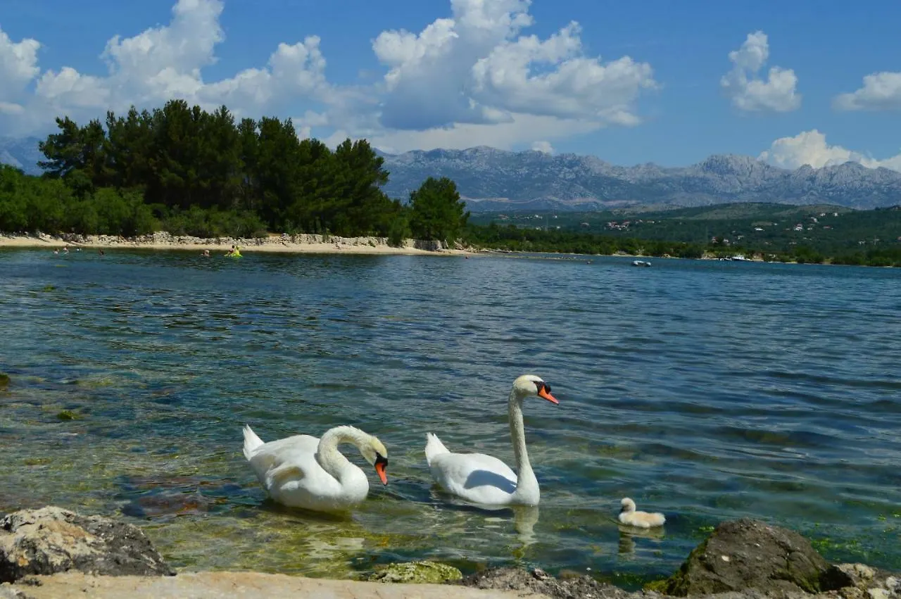 Apartman Lucija Apartment Pridraga